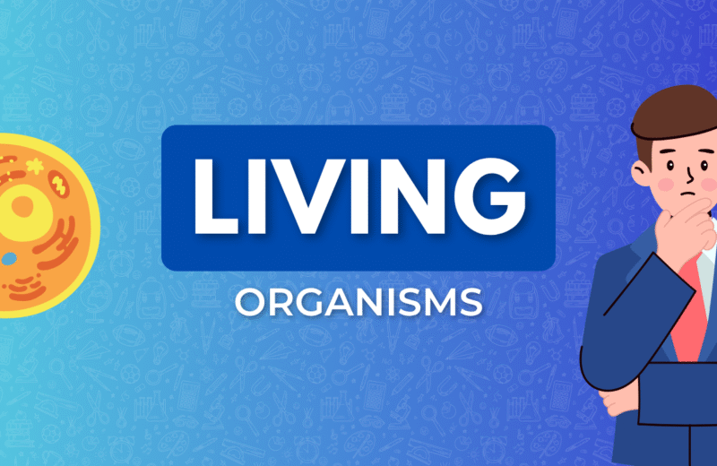 An illustration featuring a colorful cell diagram alongside the text "LIVING ORGANISMS," against a patterned blue background.
